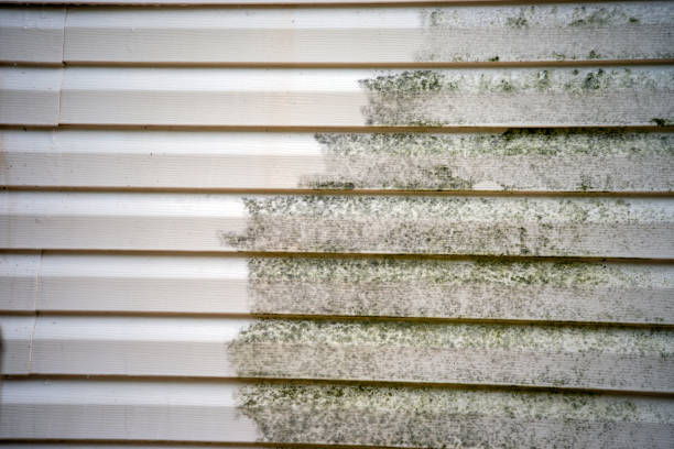 Best Foreclosure Cleanout  in Frazeysburg, OH